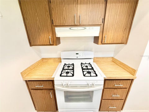 Tiny photo for 1031 Park Avenue, Tavares, FL 32778 (MLS # G5119533)