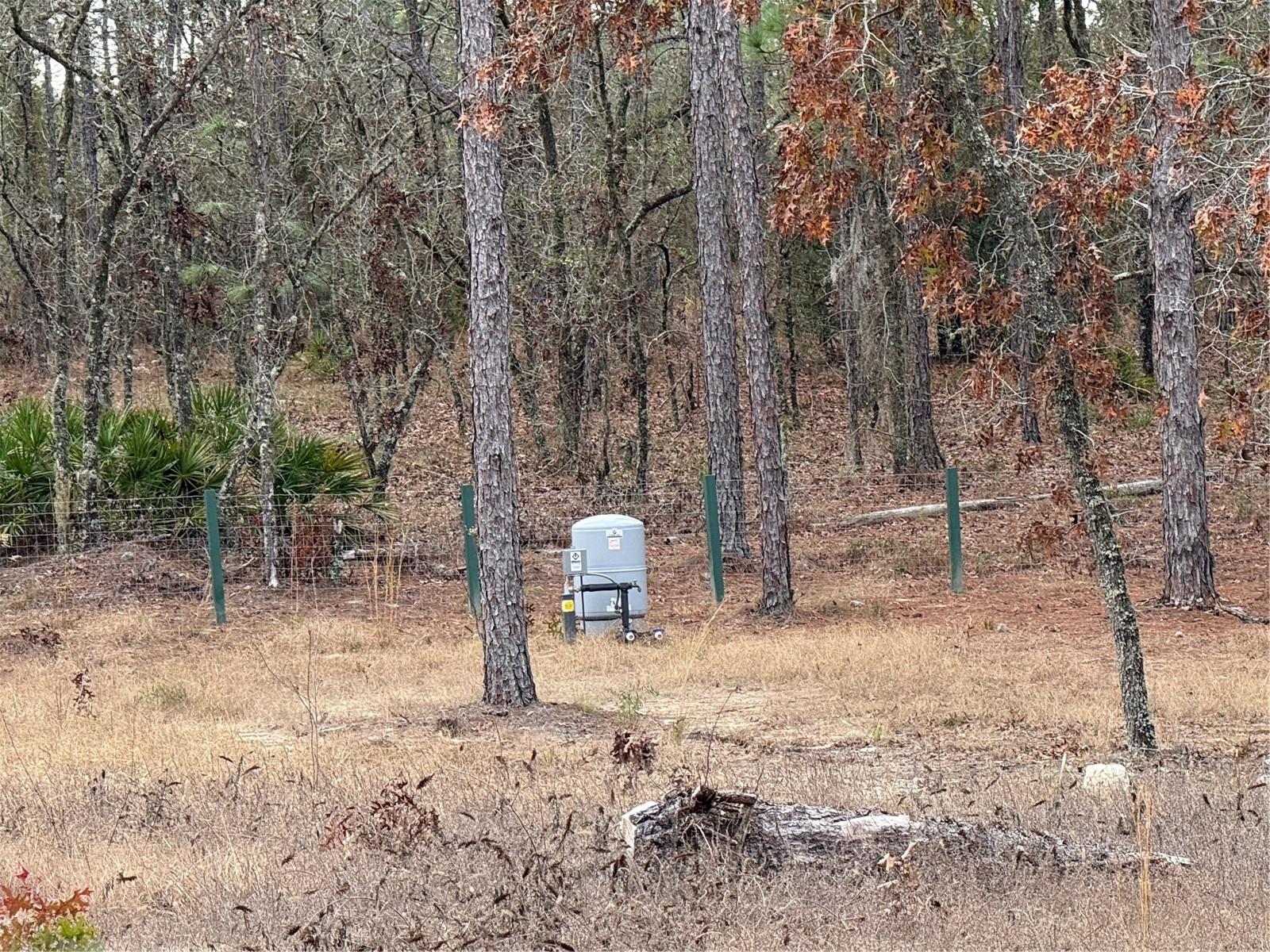ROLLING HILLS - Land