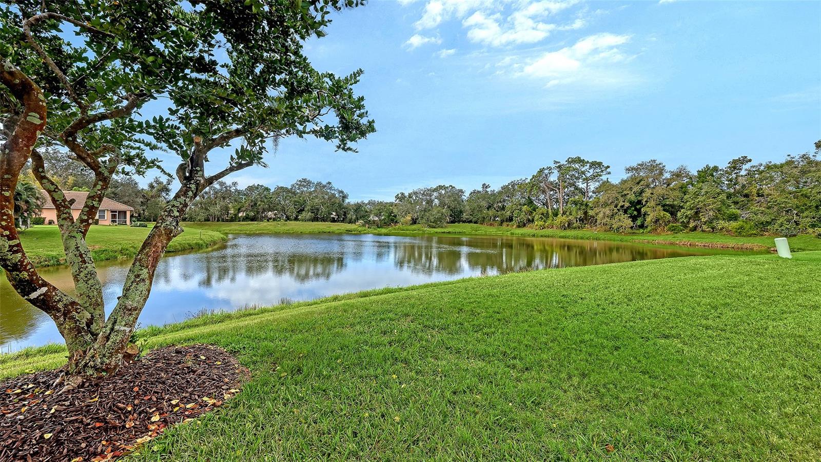 VILLA ROSA - Residential