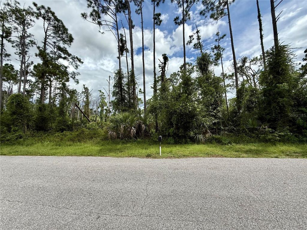Photo of Dragonfly Ave, North Port, FL 34288 (MLS # C7513410)