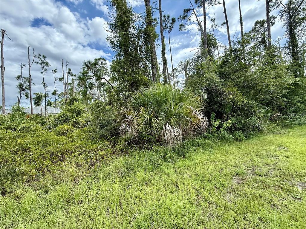 Photo of Dragonfly Ave, North Port, FL 34288 (MLS # C7513410)
