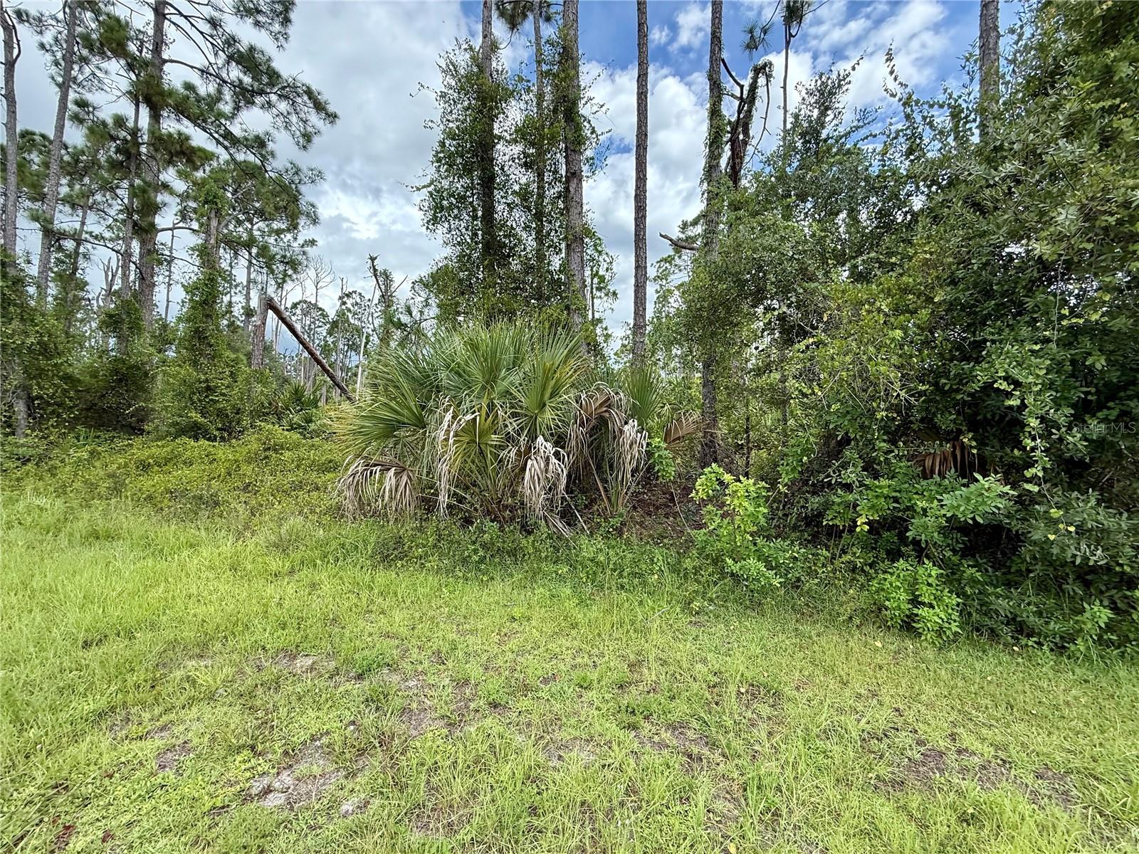 PORT CHARLOTTE SUB 33 - Land