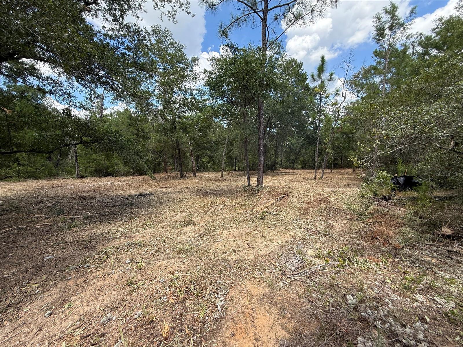 GRANDIN LAKE HILLS - Land