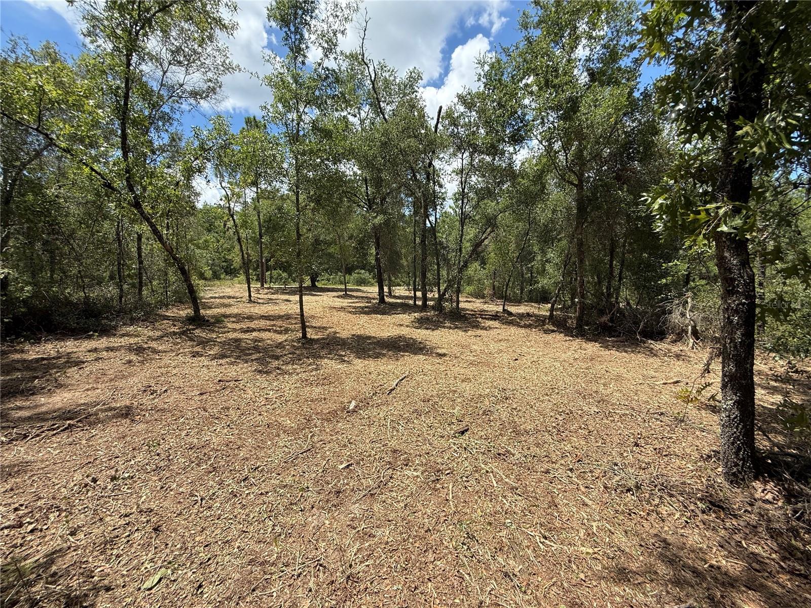 GRANDIN LAKE HILLS - Land