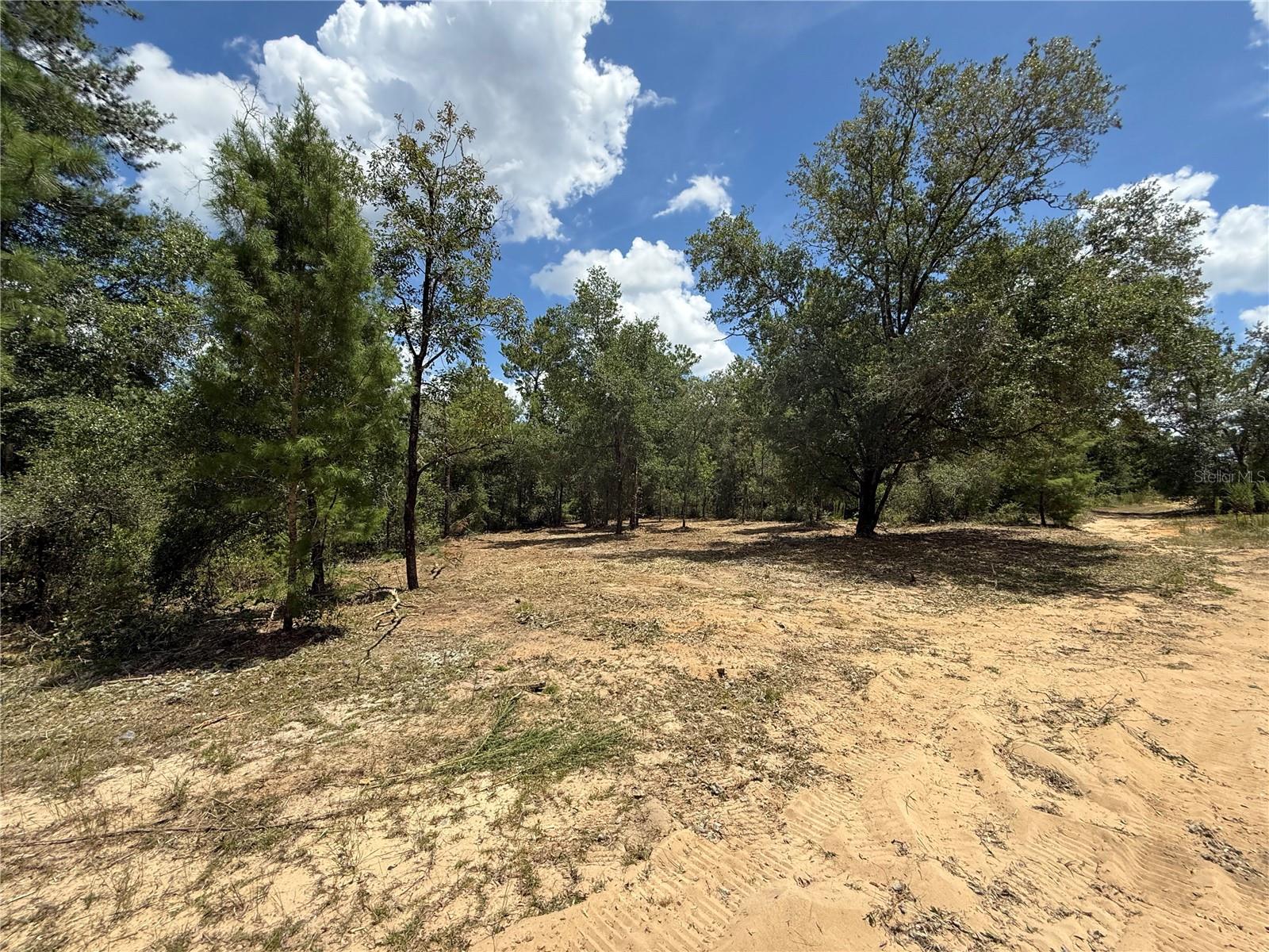 GRANDIN LAKE HILLS - Land