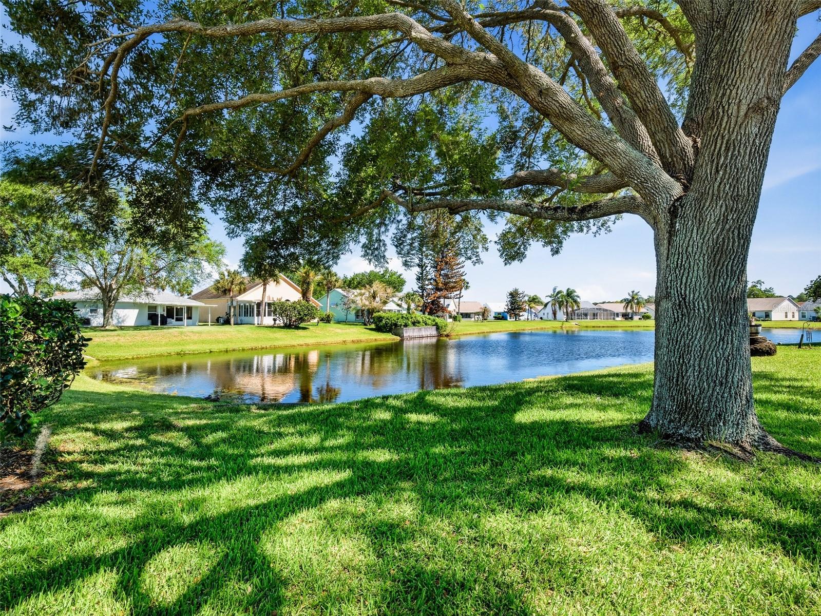 TYMBER TRACE PH 02 - Residential