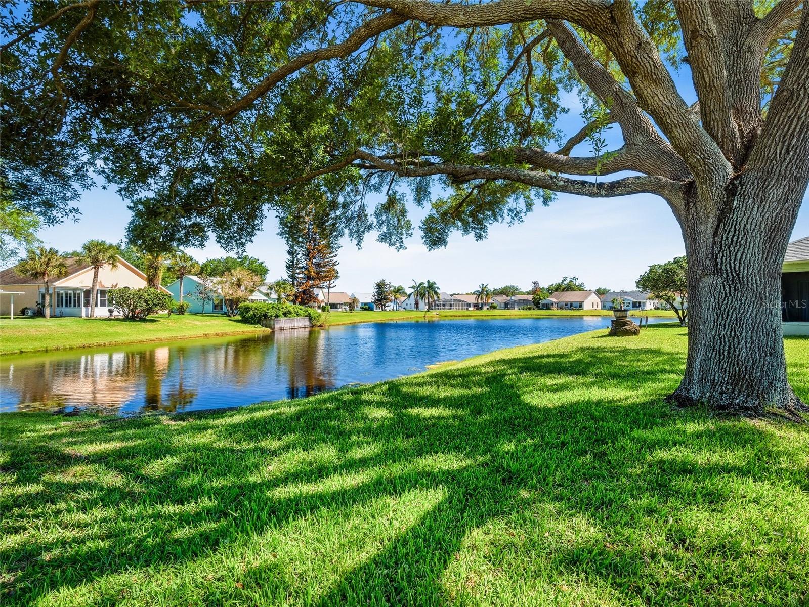 TYMBER TRACE PH 02 - Residential