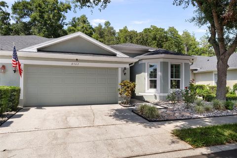 8562 ACORN RIDGE COURT TAMPA FL 33625