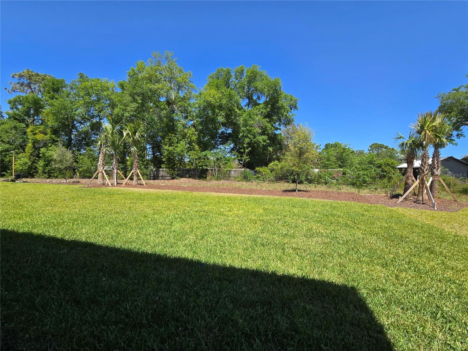 1169 HAPPY FOREST LOOP