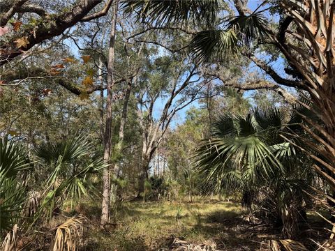 UNDETERMINED CITRA FL 32113