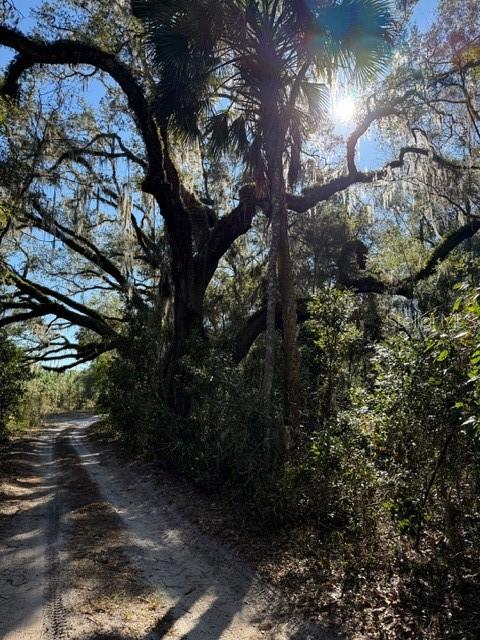 Looking for the perfect mix of tranquility and opportunity? This hard-to-find 10-acre parcel offers endless potential!
Set along paved road frontage, this property is ideal for those seeking privacy, space, and a connection to nature. The land is truly special, featuring virgin timber of hardwoods and pine, along with a small area of planted pines—a stunning backdrop for your vision. Whether you’re dreaming of a peaceful homesite, a working farm, or simply a serene getaway, this property has the potential to become whatever you imagine.
Nature lovers will adore the peaceful, rural setting where wildlife abounds—deer, foxes, turkeys, and more are frequent visitors. Mature trees create the perfect balance of usability and natural beauty. It’s a blank canvas for your future home, retreat, farm, or equestrian haven.
Located in a quiet rural area, this property offers the seclusion you’re looking for while still being within convenient reach of modern amenities. It’s the ideal setting for those who value privacy, peace, and the beauty of nature. Conveniently situated with easy access to Gainesville, Ocala, Crystal River, Dunnellon and the entire Nature Coast. For the equestrians this property is remote to World Equestrian Center, HITS, Black Prong Equestrian Village, Goethe State Forest and multiple trailheads. Nature lovers will find fresh water springs, Devils Den, The Rainbow River, The Great Suwannee River and The Gulf of America all less than and hour away!
Opportunities like this don’t come around often! This 10-acre property is waiting for your ideas and vision. Let’s schedule a visit today and explore everything this incredible land has to offer.
Seller will consider owner financing with acceptable offer and terms.