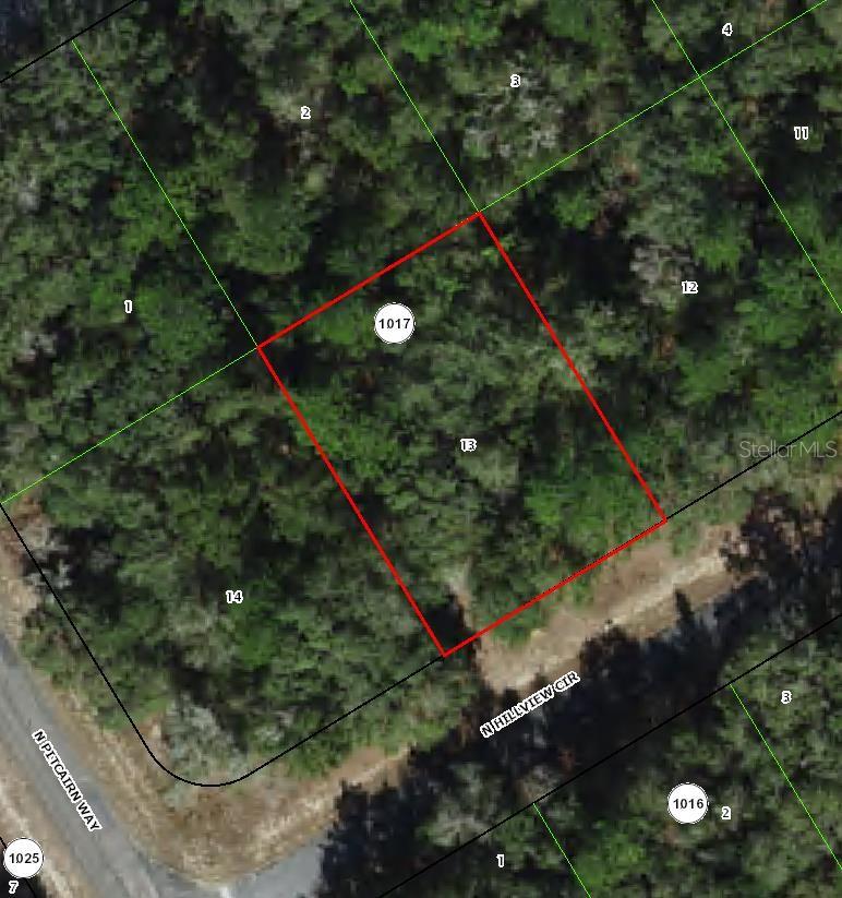 Check out and purchase this QUARTER ACRE LOT in Florida's fastest-growing city! This ELEVATED and DRY parcel offers a solid foundation; perfect for your future construction projects. Ideal for investors and buyers looking to secure an investment opportunity and capitalize on rapid SUBURBAN growth!