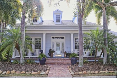 A home in APOLLO BEACH