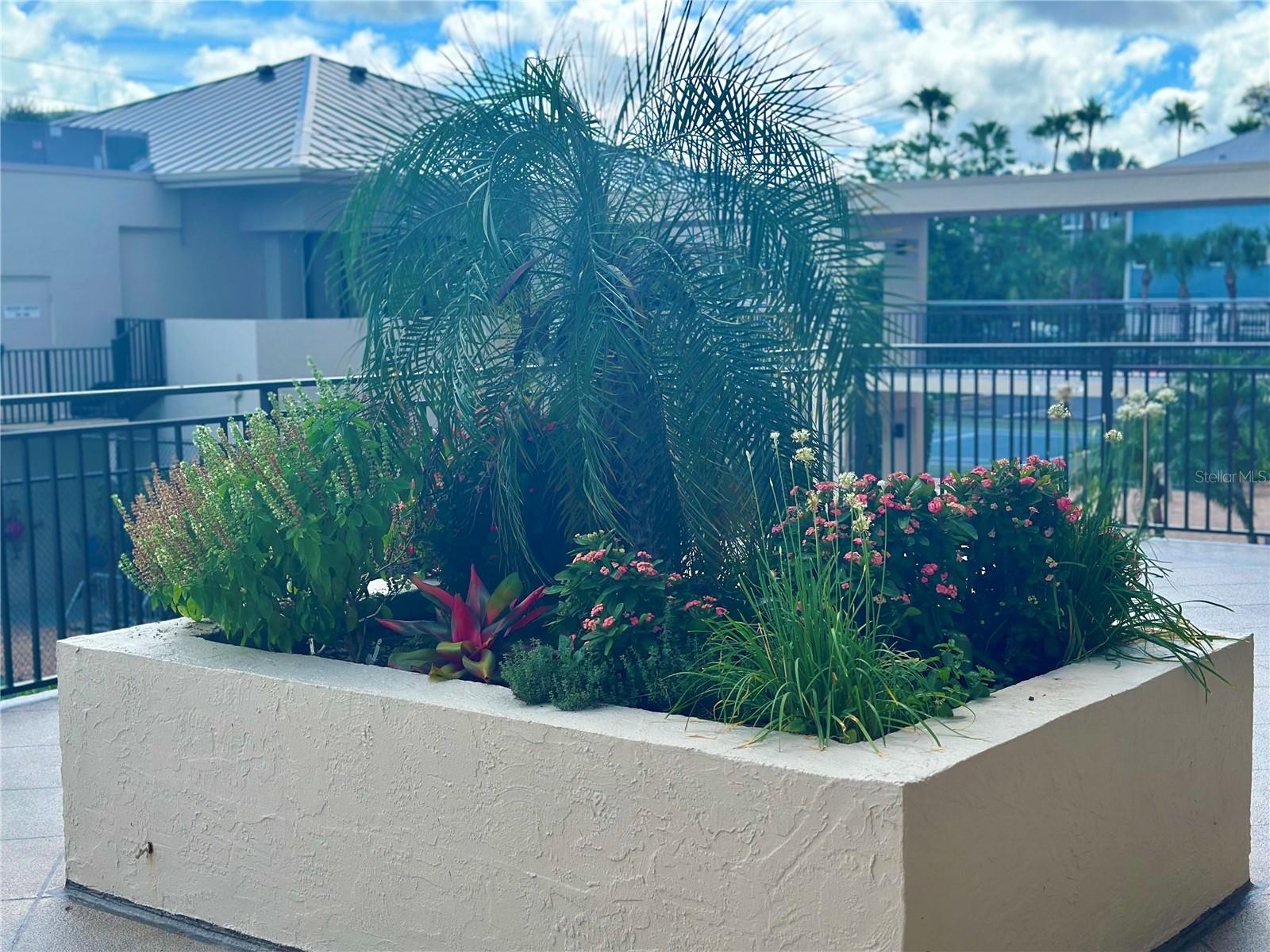 SIESTA GULF VIEW - Residential