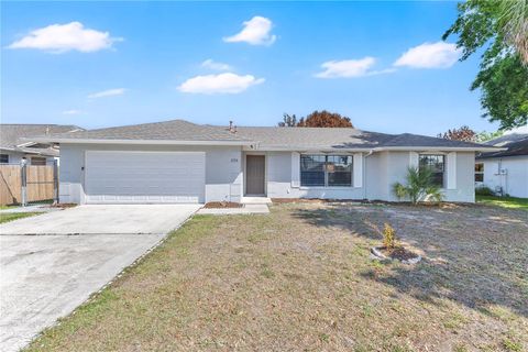 2733 MINT DRIVE ORLANDO FL 32837