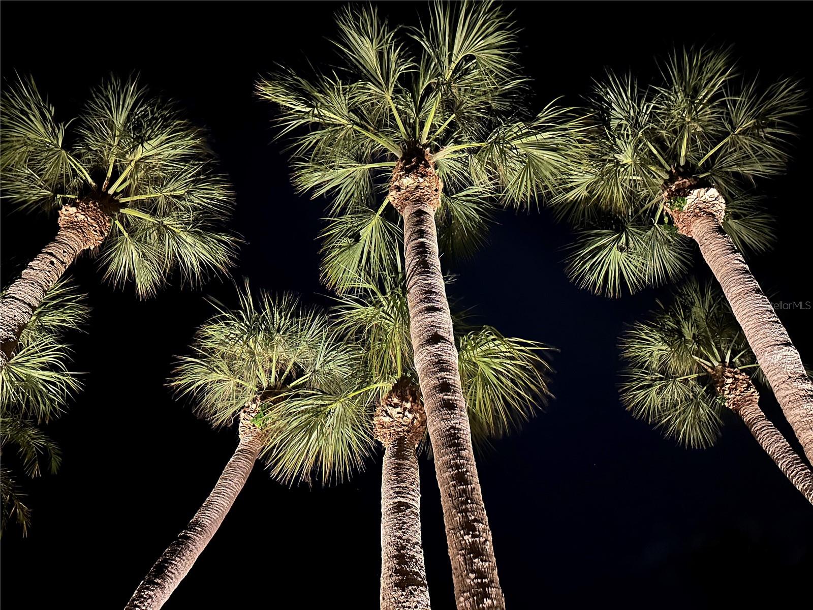 SOUTHPOINTE SHORES - Residential