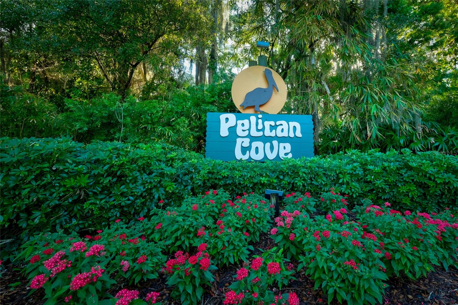 PELICAN COVE XVI - Residential