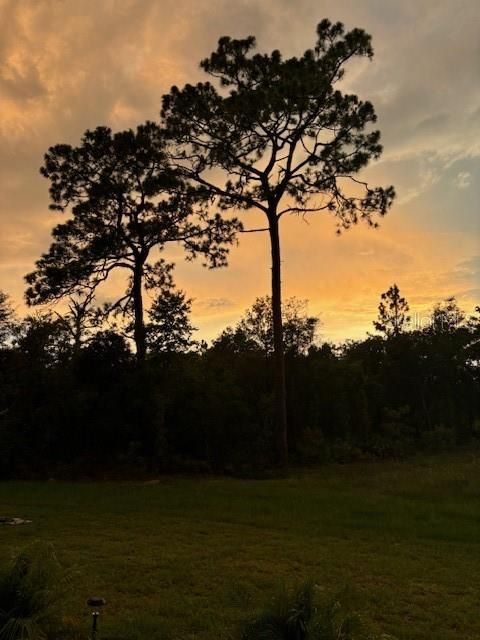 Tiny photo for 9746 SW 108th Terrace Road, Ocala, FL 34481 (MLS # OM704477)