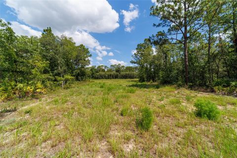 Tiny photo for 9746 SW 108th Terrace Road, Ocala, FL 34481 (MLS # OM704477)