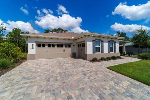 Photo of 9746 SW 108th Terrace Road, Ocala, FL 34481 (MLS # OM704477)