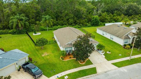 A home in WESLEY CHAPEL