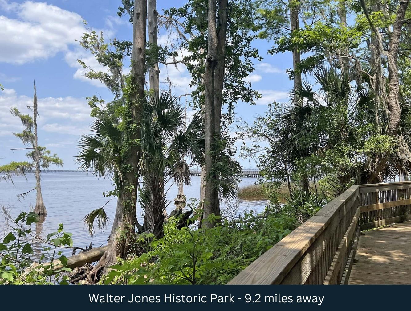 SW OF PINE ST, GREENLAND - Land