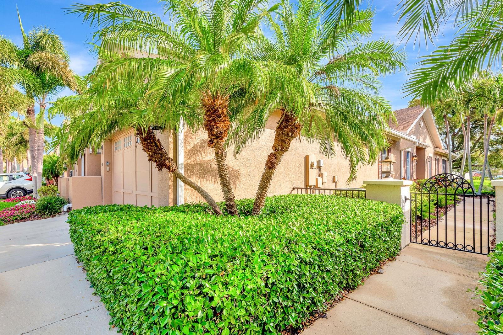 PALMA SOLA TRACE - Residential