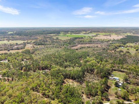 00 SE 91ST TRAIL TRENTON FL 32693