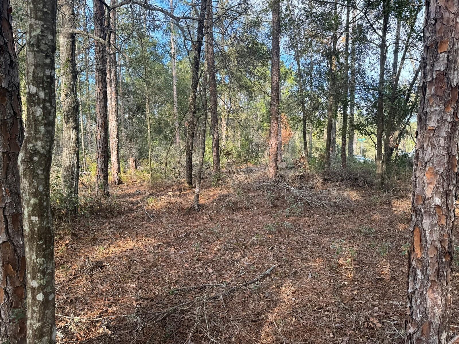 CITRUS SPGS UNIT 01 - Land