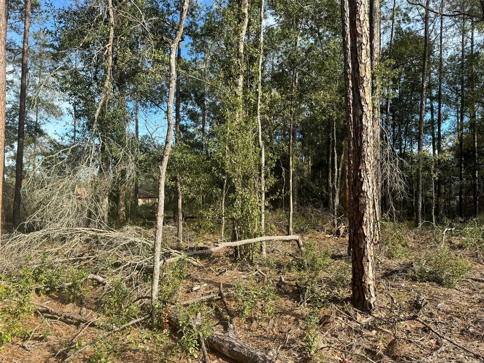 CITRUS SPGS UNIT 01 - Land