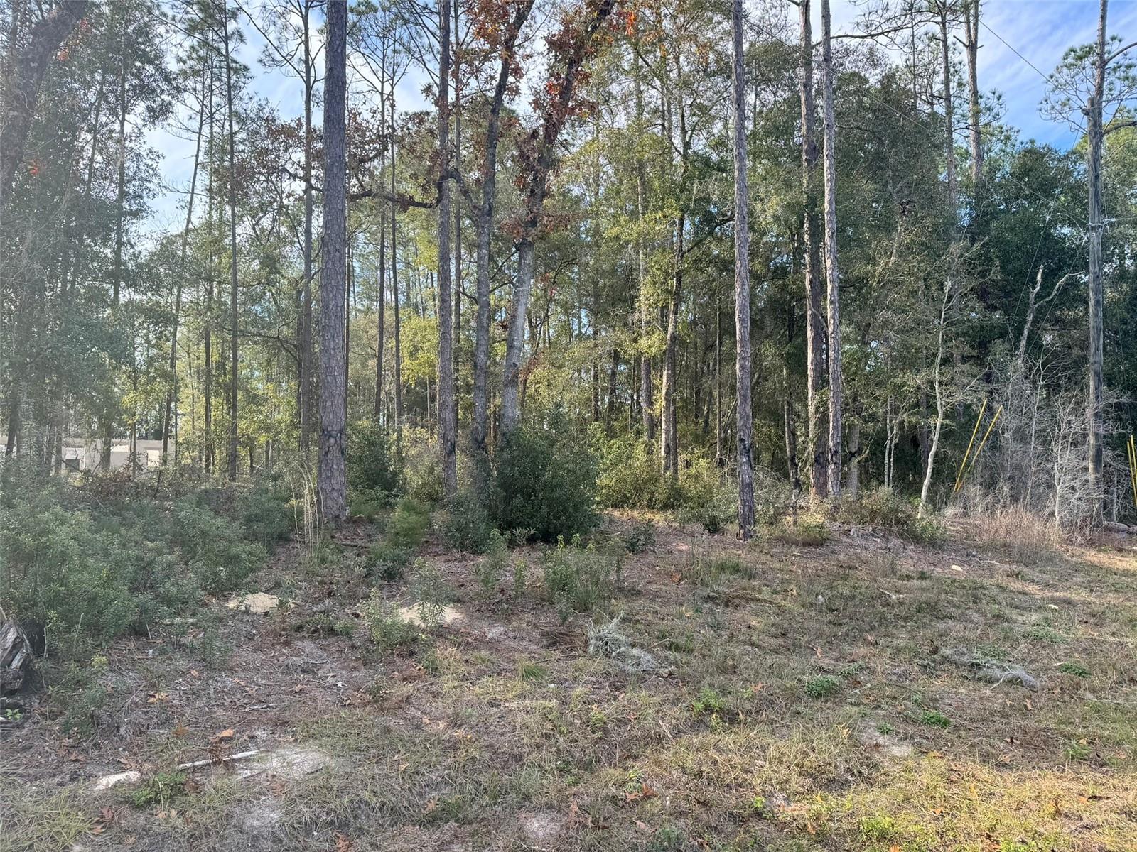 CITRUS SPGS UNIT 01 - Land