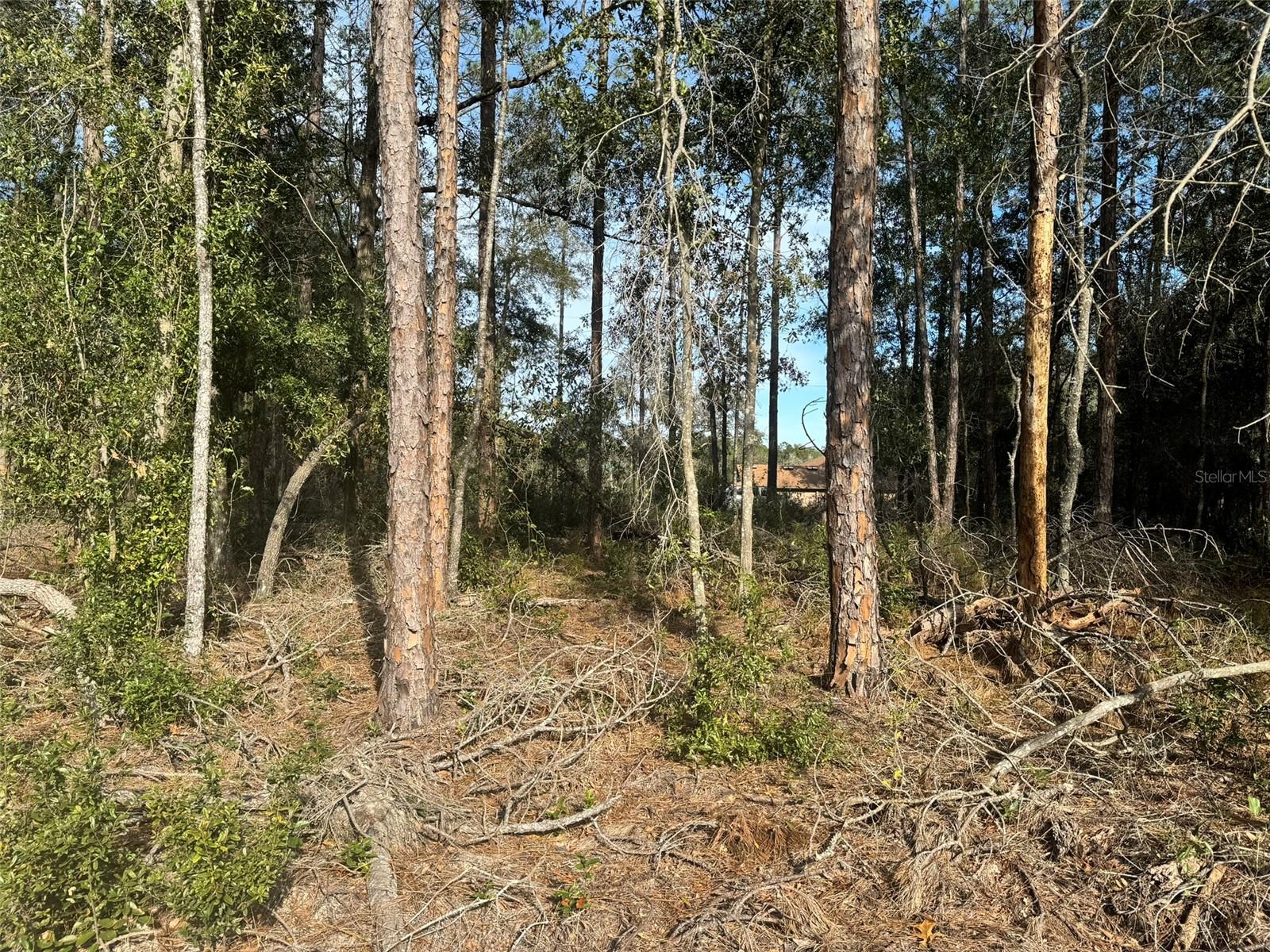 CITRUS SPGS UNIT 01 - Land