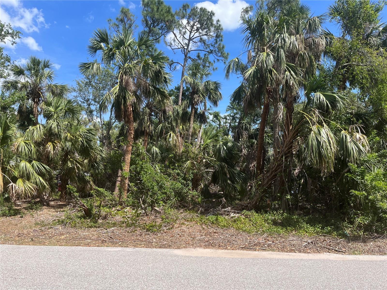 Build your Florida dream home! This location is private yet very close to shopping, restaurants, beaches, golfing and more. Come live the Florida lifestyle!