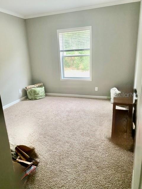 NOT IN SUBDIVISION - Residential