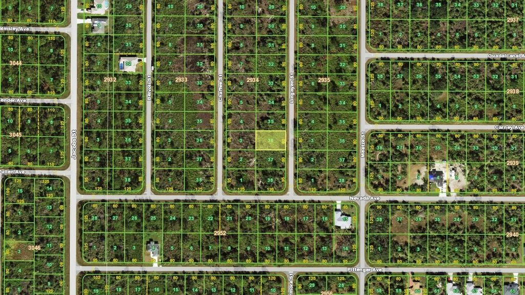 Photo of 2167 Lingayen Street, Port Charlotte, FL 33953 (MLS # C7521119)