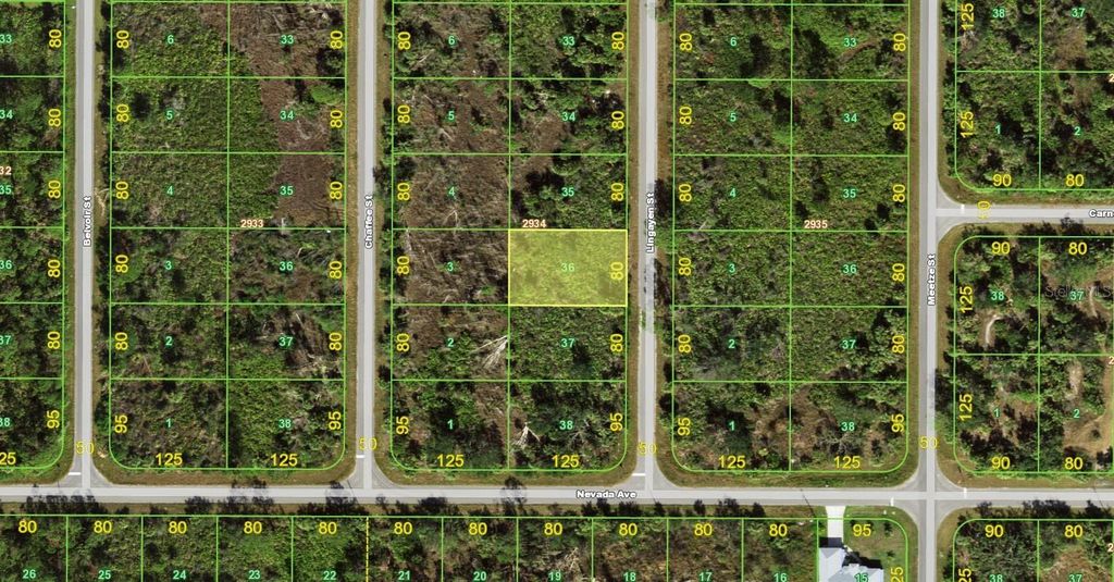 Photo of 2167 Lingayen Street, Port Charlotte, FL 33953 (MLS # C7521119)