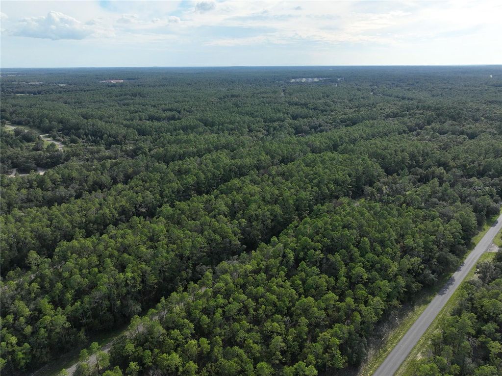 Photo of 598 E Marquette Lane, Dunnellon, FL 34434 (MLS # O6344057)