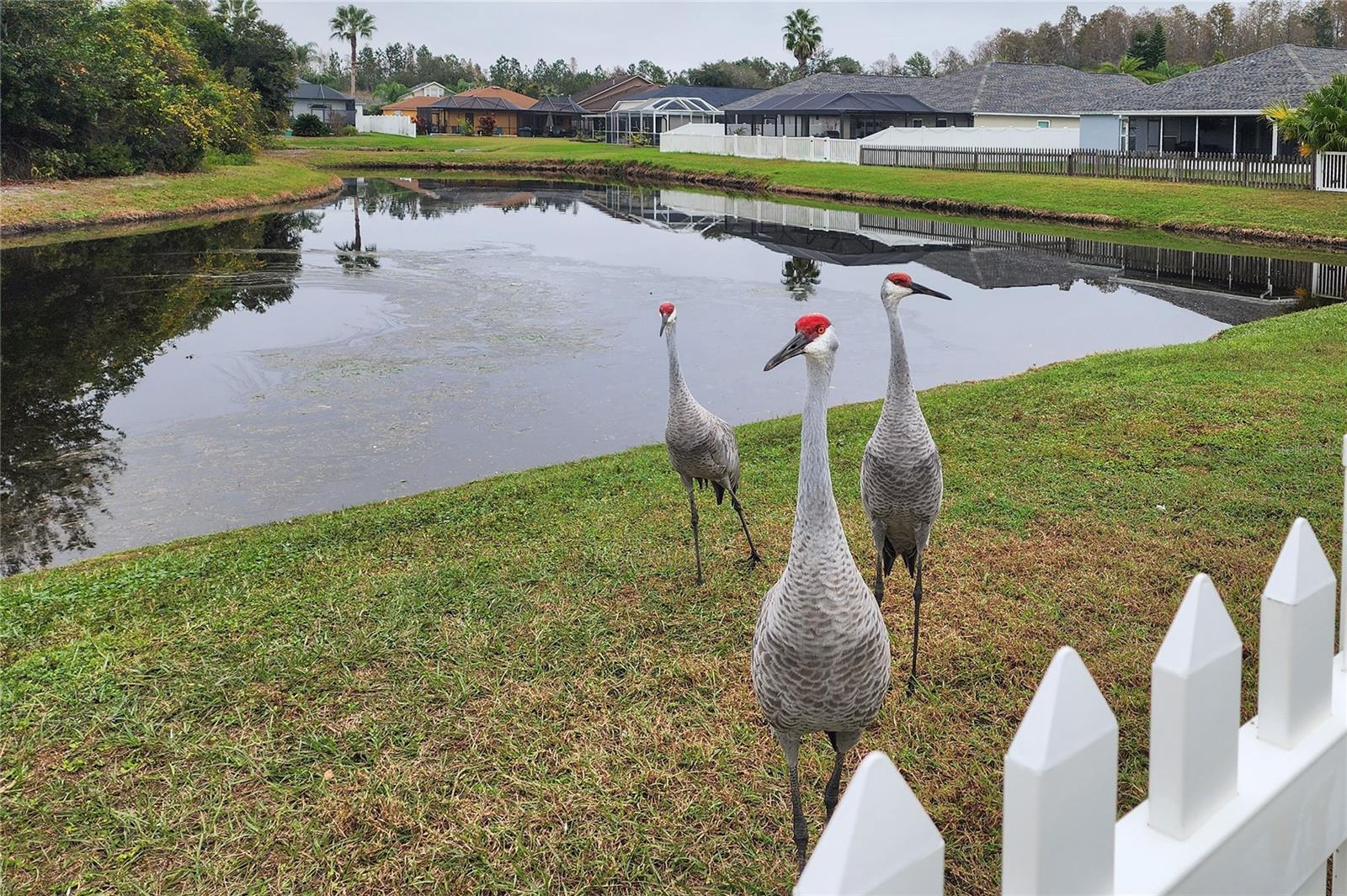 MEADOW POINTE 03 PH 01 UNIT 2B - Residential