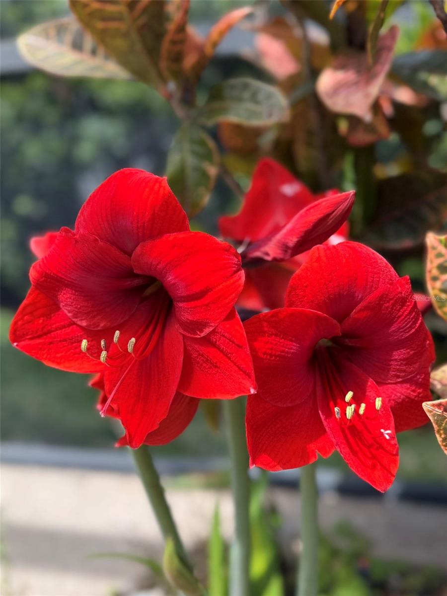 CHERRY RIDGE UNIT 2 - Residential