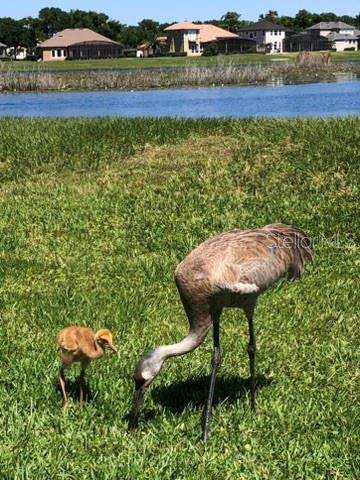 CHERRY RIDGE UNIT 2 - Residential