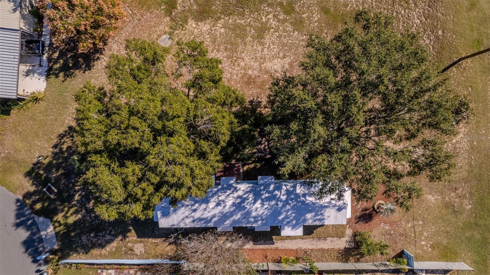 MONTVERDE HILLS - Residential