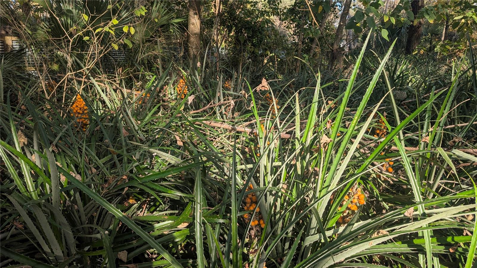 NON SUB - Residential