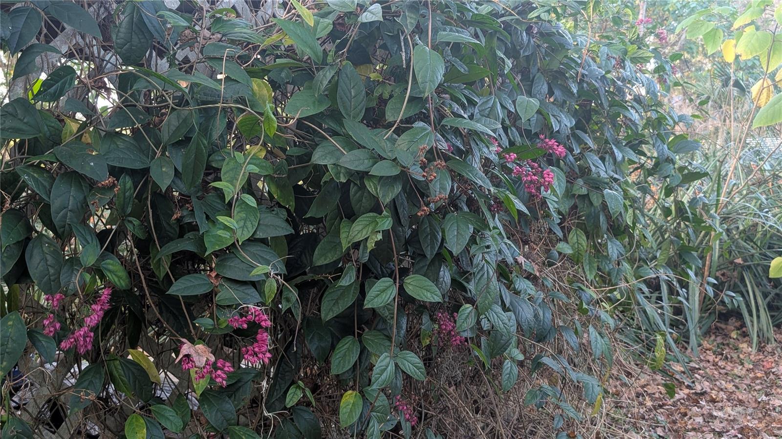 NON SUB - Residential