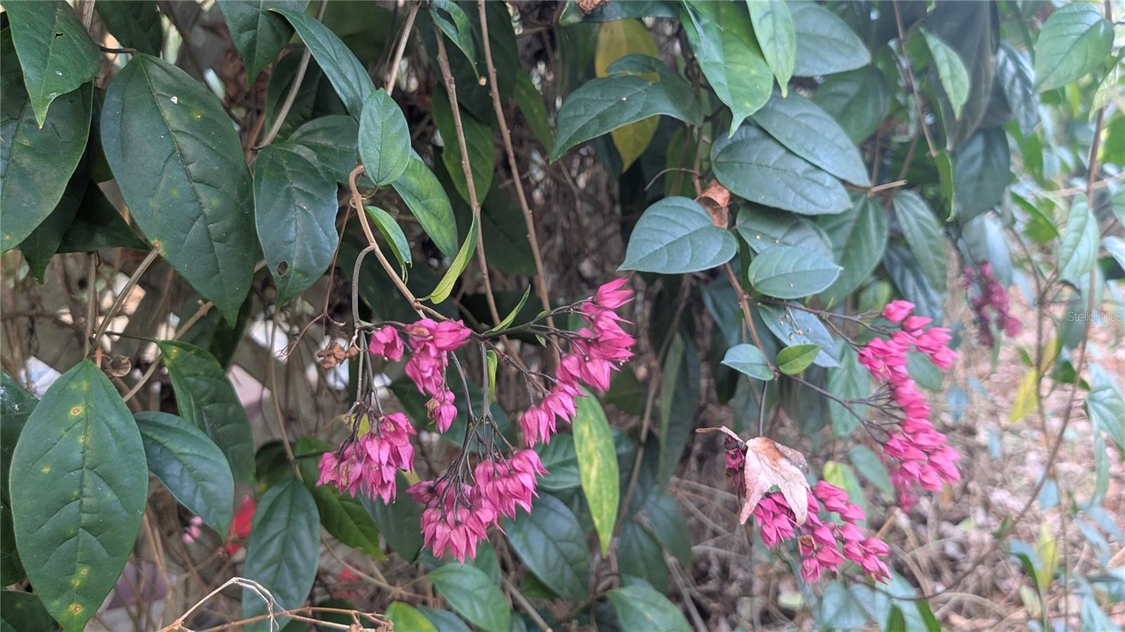 NON SUB - Residential