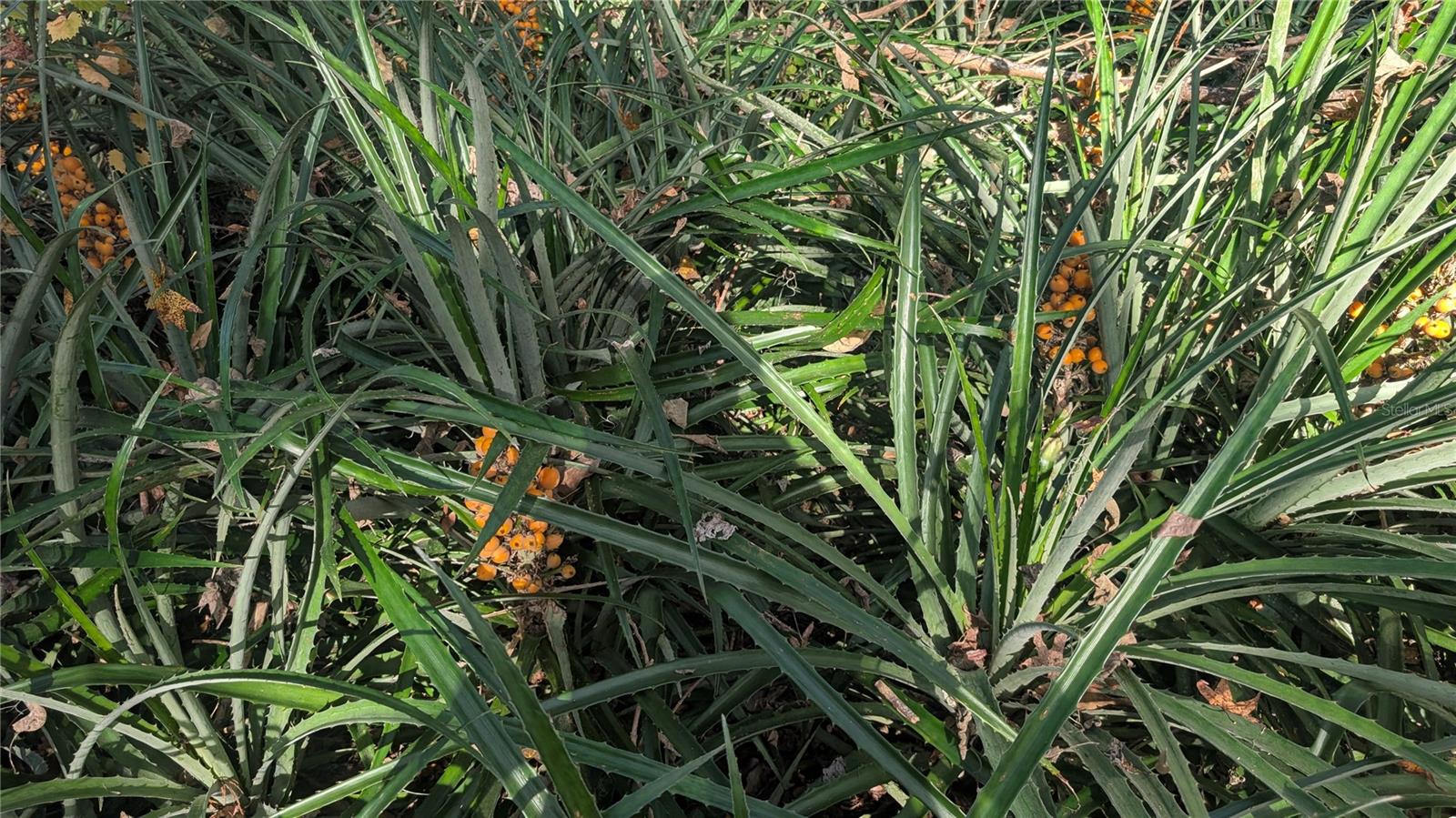 NON SUB - Residential