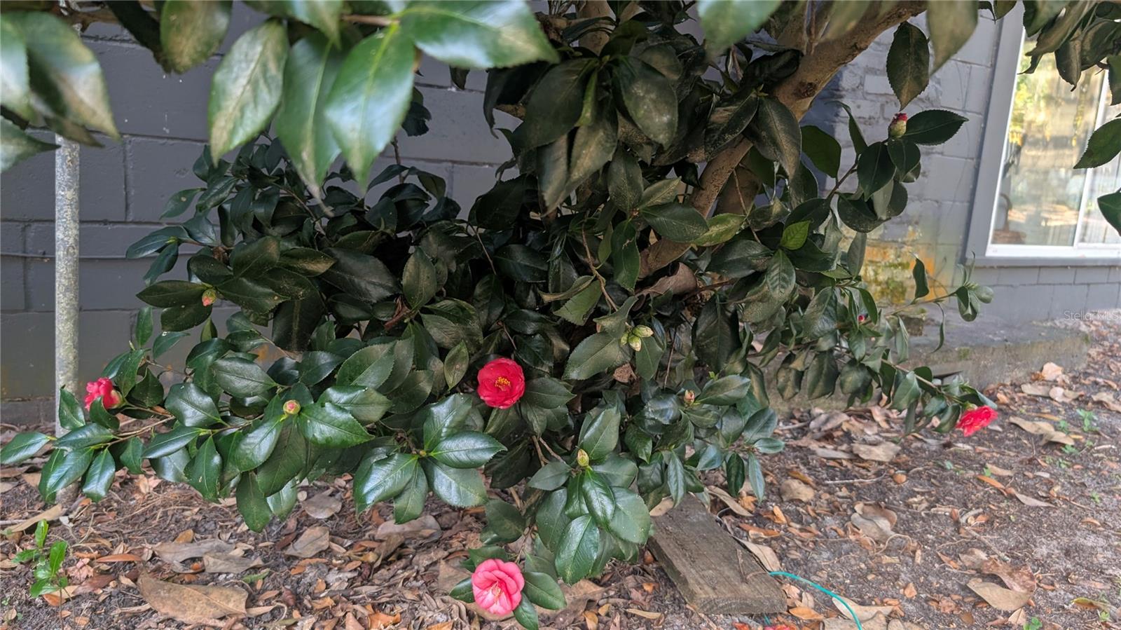 NON SUB - Residential