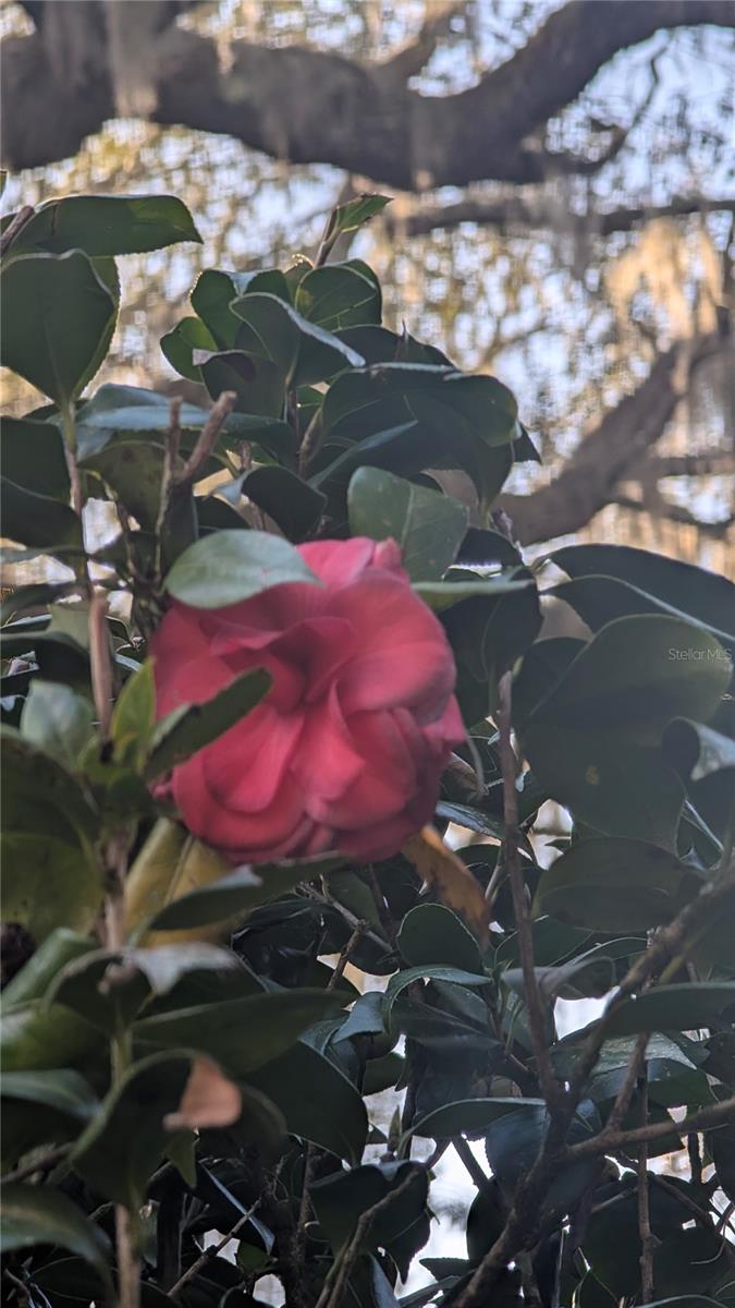 NON SUB - Residential