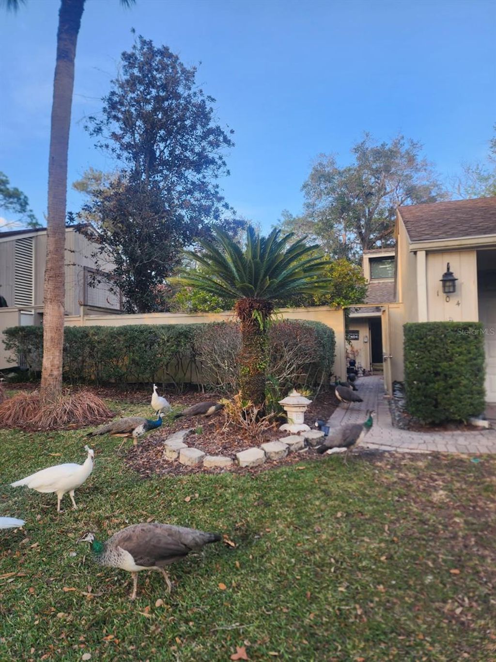 Photo of 104 Juniper Lane, Longwood, FL 32779 (MLS # O6383969)