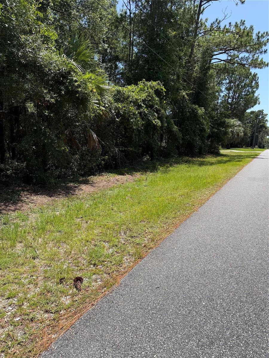 Photo of Lecanto, FL 34461 (MLS # W7887692)