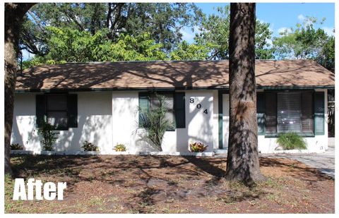 804 E ORCHID AVENUE TAMPA FL 33612